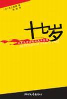 十七岁TXT全集封面