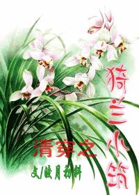 清穿之猗兰小筑(BG皇太极)TXT全集封面