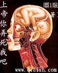 上帝你弄死我吧TXT全集封面
