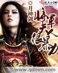 将军夫人很暴力TXT全集封面