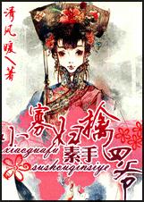 小寡妇素手擒四爷TXT全集封面