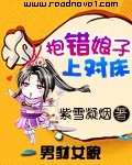 抱错娘子进对房TXT全集封面