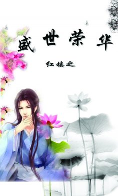 红楼之盛世荣华TXT全集封面