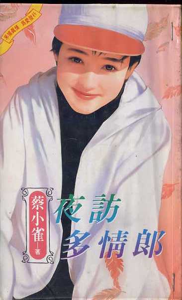 夜访多情郎TXT全集封面