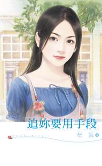 追你要用手段TXT全集封面