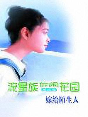 嫁给陌生人TXT全集封面