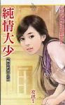 纯情大少TXT全集封面