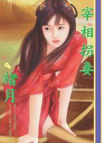 宰相拐妻TXT全集封面