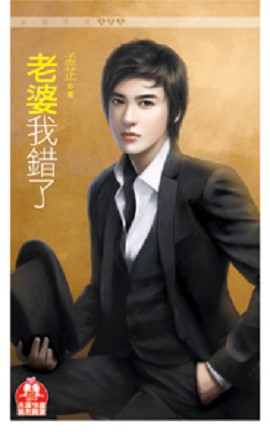 老婆我错了TXT全集封面