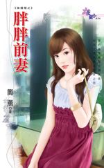 胖胖前妻TXT全集封面