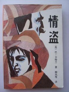 情盗TXT全集封面