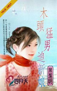 木头猛男追新娘TXT全集封面