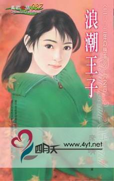 浪潮王子TXT全集封面