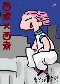 西索×西索TXT全集封面