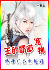 王的霸道狐宠 完结TXT全集封面