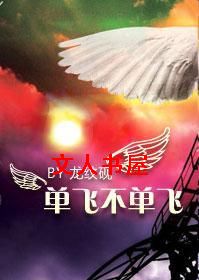 单飞不单飞TXT全集封面