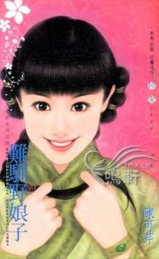 难驯野娘子TXT全集封面