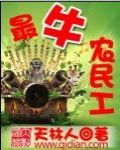 最牛农民工TXT全集封面