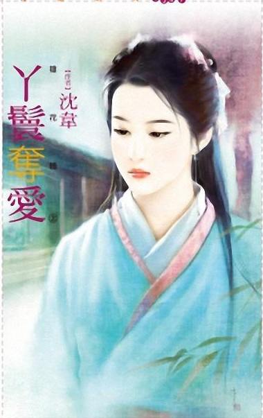 丫鬟夺爱TXT全集封面