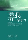 养我一辈子TXT全集封面