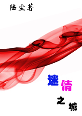 迷情之城TXT全集封面