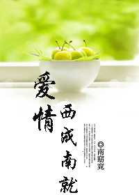 爱情 西成南就TXT全集封面