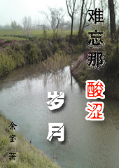 难忘那酸涩岁月TXT全集封面