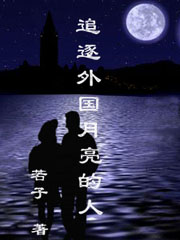 追逐外国月亮的人TXT全集封面