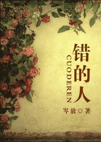 错的人TXT全集封面