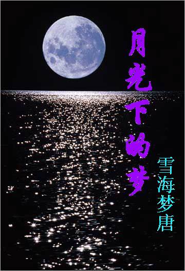 月光下的梦TXT全集封面