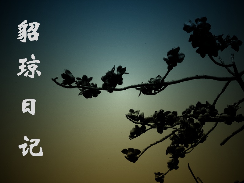 貂琼日记TXT全集封面