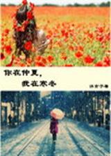 你在仲夏我在寒冬TXT全集封面