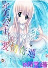 完美公主的爱情奇遇TXT全集封面