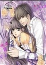 混沌女神夺天下TXT全集封面