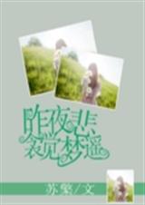 昨夜悲衾觉梦遥TXT全集封面