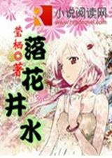 落花井水TXT全集封面
