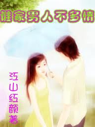 谁家男人不多情TXT全集封面