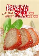 你是我的叉烧TXT全集封面