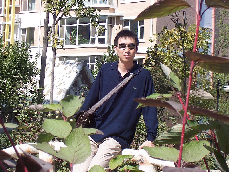 天使的诅咒TXT全集封面