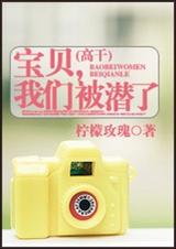 宝贝,我们被潜了(高干)TXT全集封面