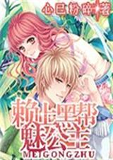 赖上魅公主TXT全集封面