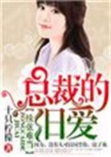 续弦难当,总裁的旧爱TXT全集封面