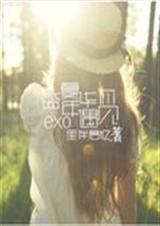 EXO盛夏年华遇见你TXT全集封面