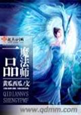 一品魔法师TXT全集封面
