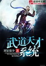 武道天才系统TXT全集封面