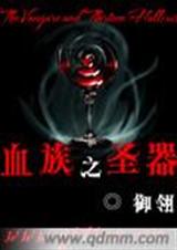 血族之圣器TXT全集封面