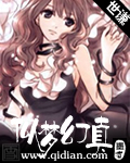 似梦幻真TXT全集封面