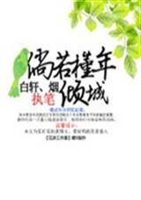 倘若槿年倾城TXT全集封面