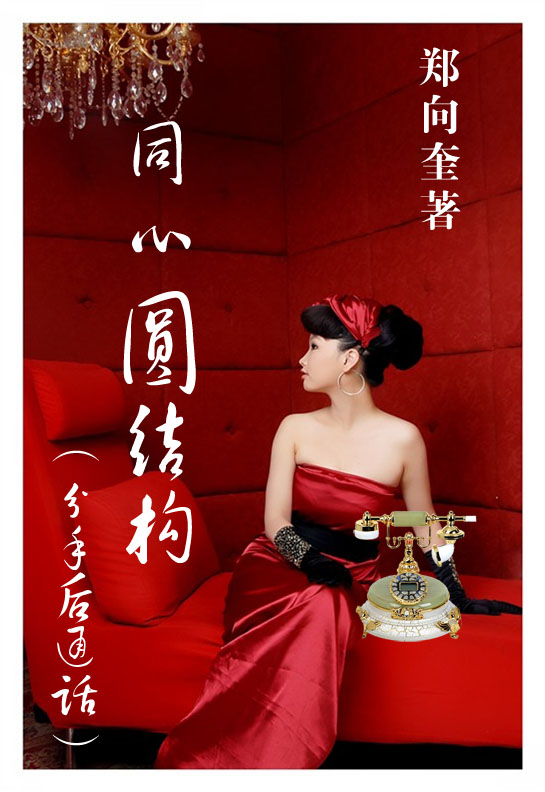 分手后通话(又名同心圆结构)TXT全集封面