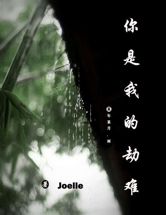 你是我的劫难TXT全集封面